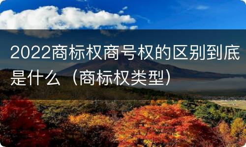 2022商标权商号权的区别到底是什么（商标权类型）
