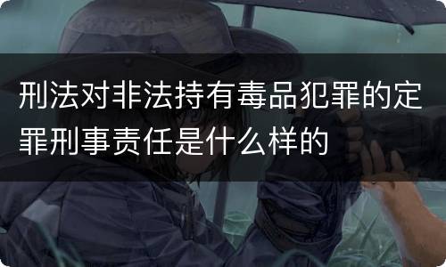 刑法对非法持有毒品犯罪的定罪刑事责任是什么样的