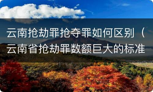 云南抢劫罪抢夺罪如何区别（云南省抢劫罪数额巨大的标准）