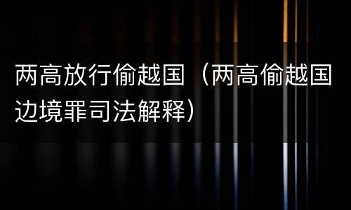 两高放行偷越国（两高偷越国边境罪司法解释）