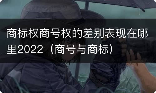 商标权商号权的差别表现在哪里2022（商号与商标）