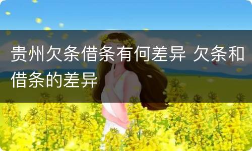 贵州欠条借条有何差异 欠条和借条的差异