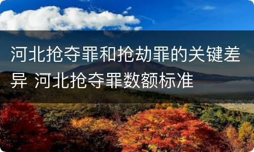 河北抢夺罪和抢劫罪的关键差异 河北抢夺罪数额标准