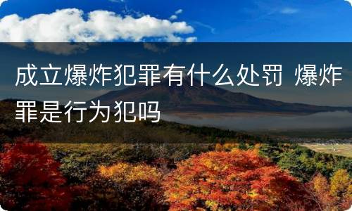 成立爆炸犯罪有什么处罚 爆炸罪是行为犯吗