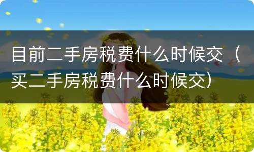 目前二手房税费什么时候交（买二手房税费什么时候交）