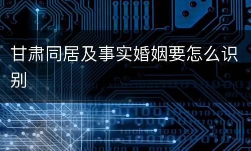 甘肃同居及事实婚姻要怎么识别