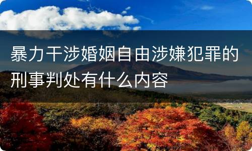暴力干涉婚姻自由涉嫌犯罪的刑事判处有什么内容
