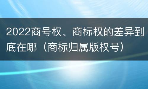 2022商号权、商标权的差异到底在哪（商标归属版权号）