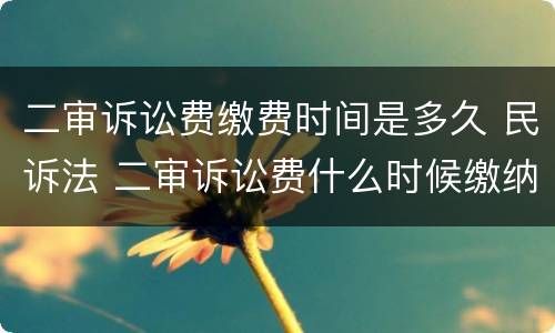 二审诉讼费缴费时间是多久 民诉法 二审诉讼费什么时候缴纳