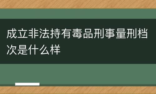 成立非法持有毒品刑事量刑档次是什么样