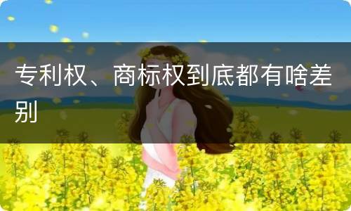 专利权、商标权到底都有啥差别