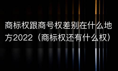 商标权跟商号权差别在什么地方2022（商标权还有什么权）