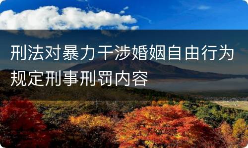 刑法对暴力干涉婚姻自由行为规定刑事刑罚内容