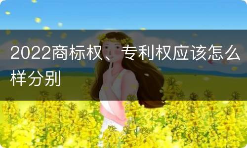 2022商标权、专利权应该怎么样分别