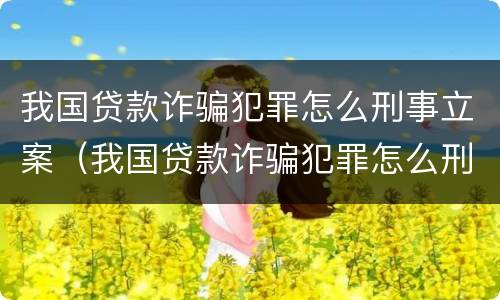 我国贷款诈骗犯罪怎么刑事立案（我国贷款诈骗犯罪怎么刑事立案的）