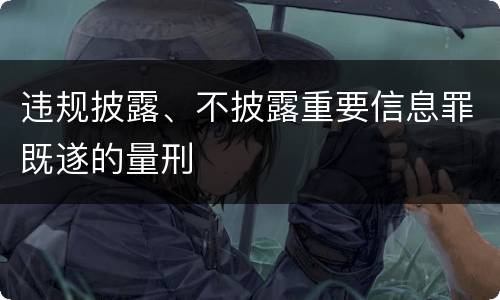 违规披露、不披露重要信息罪既遂的量刑