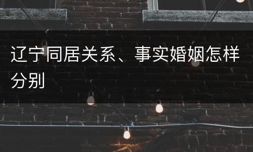 辽宁同居关系、事实婚姻怎样分别