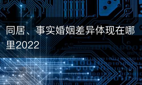 同居、事实婚姻差异体现在哪里2022