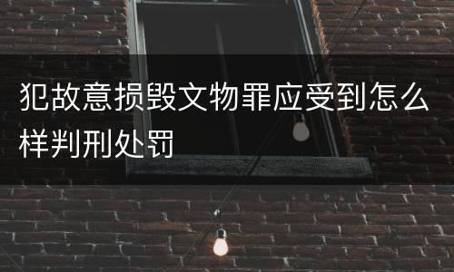 犯故意损毁文物罪应受到怎么样判刑处罚
