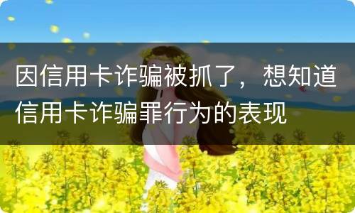 因信用卡诈骗被抓了，想知道信用卡诈骗罪行为的表现