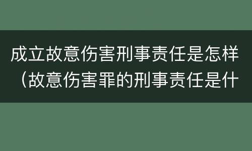 成立故意伤害刑事责任是怎样（故意伤害罪的刑事责任是什么）