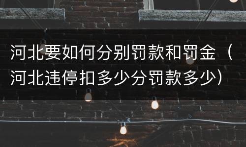 河北要如何分别罚款和罚金（河北违停扣多少分罚款多少）