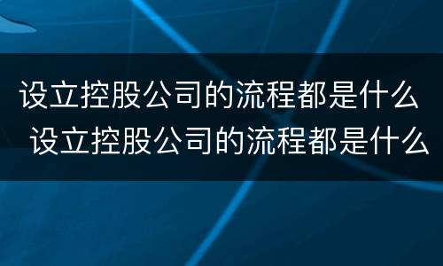设立控股公司的流程都是什么 设立控股公司的流程都是什么意思