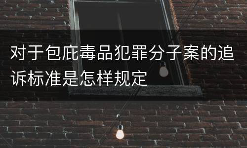 对于包庇毒品犯罪分子案的追诉标准是怎样规定