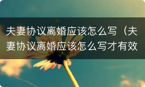 夫妻协议离婚应该怎么写（夫妻协议离婚应该怎么写才有效）