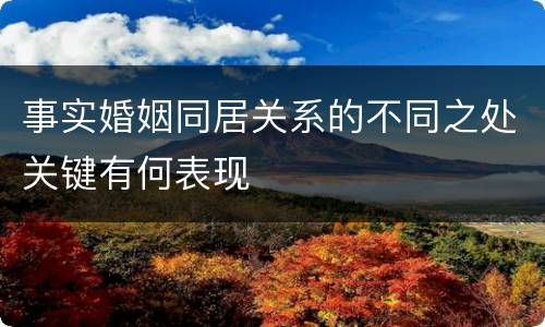 事实婚姻同居关系的不同之处关键有何表现