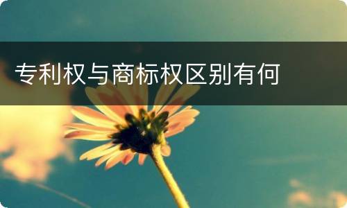 专利权与商标权区别有何