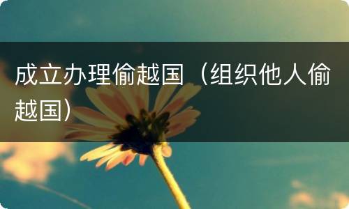 成立办理偷越国(组织他人偷越国)