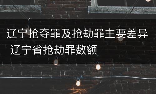 辽宁抢夺罪及抢劫罪主要差异 辽宁省抢劫罪数额