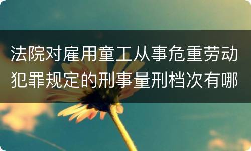 法院对雇用童工从事危重劳动犯罪规定的刑事量刑档次有哪些