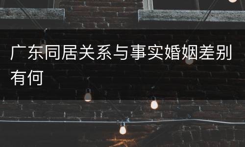 广东同居关系与事实婚姻差别有何