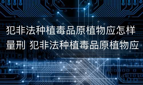 犯非法种植毒品原植物应怎样量刑 犯非法种植毒品原植物应怎样量刑呢