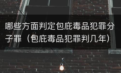 哪些方面判定包庇毒品犯罪分子罪（包庇毒品犯罪判几年）