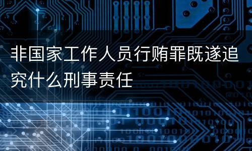 非国家工作人员行贿罪既遂追究什么刑事责任