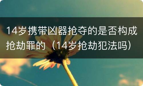 14岁携带凶器抢夺的是否构成抢劫罪的（14岁抢劫犯法吗）