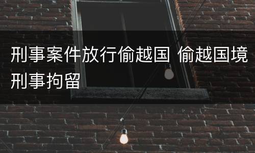 刑事案件放行偷越国 偷越国境刑事拘留