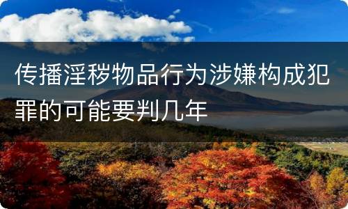 传播淫秽物品行为涉嫌构成犯罪的可能要判几年
