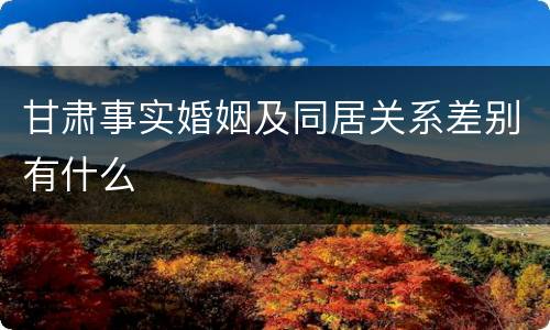 甘肃事实婚姻及同居关系差别有什么
