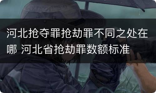 河北抢夺罪抢劫罪不同之处在哪 河北省抢劫罪数额标准