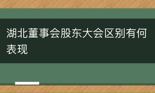 湖北董事会股东大会区别有何表现