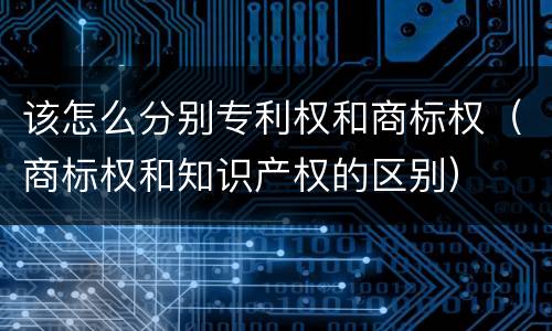 该怎么分别专利权和商标权（商标权和知识产权的区别）