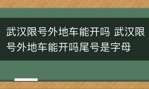 武汉限号外地车能开吗 武汉限号外地车能开吗尾号是字母
