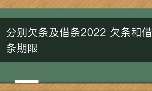 分别欠条及借条2022 欠条和借条期限
