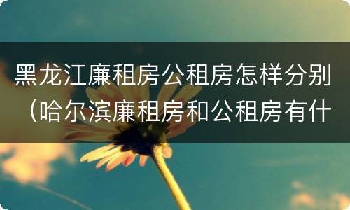 黑龙江廉租房公租房怎样分别（哈尔滨廉租房和公租房有什么区别）
