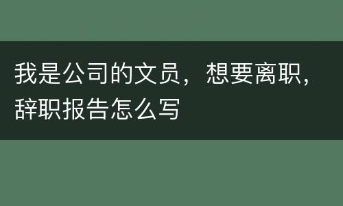 我是公司的文员，想要离职，辞职报告怎么写