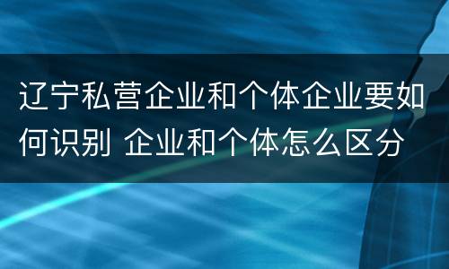 辽宁私营企业和个体企业要如何识别 企业和个体怎么区分